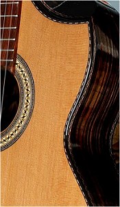 Moon Ebony B&S, Bellucci/Hauser braced Cedar top Concert guitar