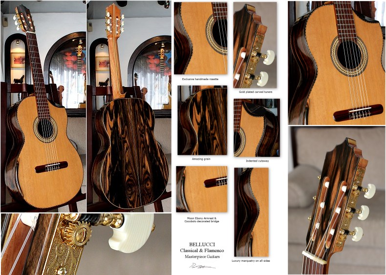 Moon Ebony B&S, Bellucci/Hauser braced Cedar top Concert guitar