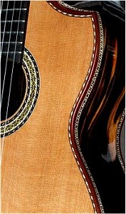 Moon Ebony B&S, Hauser braced Cedar top Concert guitar
