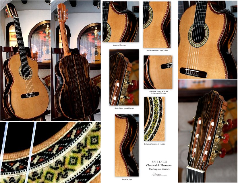 Moon Macassar Ebony B&S, Hauser braced Cedar top Concert guitar