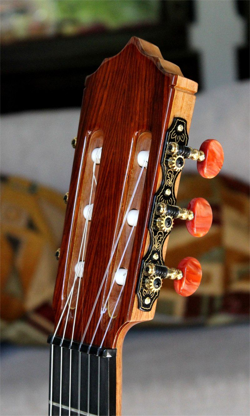 Cocobolo B&S, Hauser braced Cedar top Concert guitar