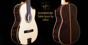 New Custom 7-strings Blackwood Guitar