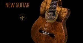 New Zizicote Cutaway Perfect Guitar !